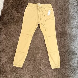 Pacsun Men's Tan Jogger Pants
